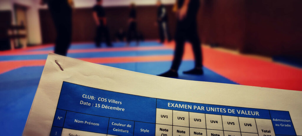 Fiche évaluation passage de ceinture