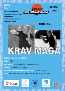 Armes - 11 novembre 2023