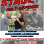 Stage self-defense / boxe de rue avec Robert Paturel
